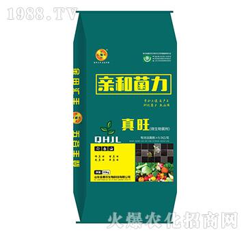 ΢�������-�H�;���-����-����r(n��ng)