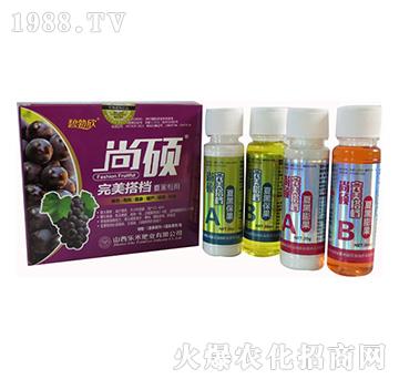 �ĺ����ь������-����