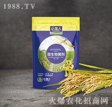 ˮ��ˎ��-΢�������-С����