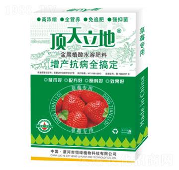 ��ݮ���ú���ֲ��ˮ�ܷ���-�������-��Gֲ��