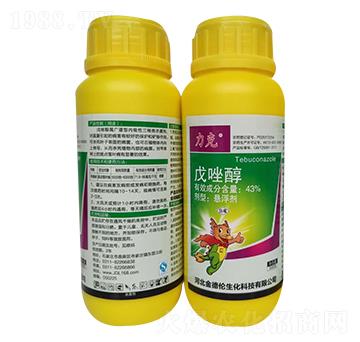 43%����-����-���