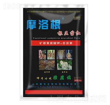 �VԴ�S�����+�|̦��-������t-���A����