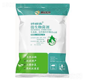 ΢�������-�����_-�������