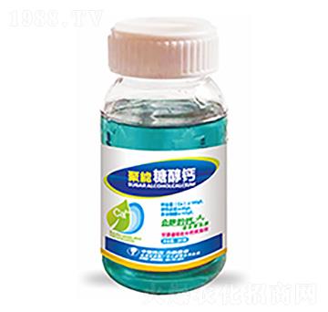 �����Ǵ��}-�����Ƽ�