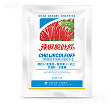 ����Ó�~�t-�����Ƽ�