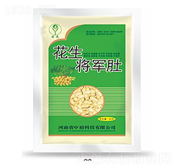 ������܊��-��ԣ�Ƽ�