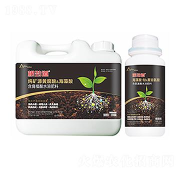 ���ŵ�-�����Ƽ�