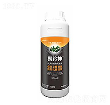 �����-��ԣ�Ƽ�