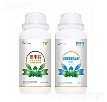 ��S�-��ԣ�Ƽ�