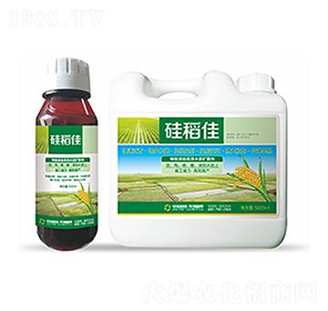 �赾��-�����Ƽ�