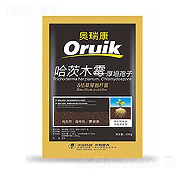 �W��-�����Ƽ�