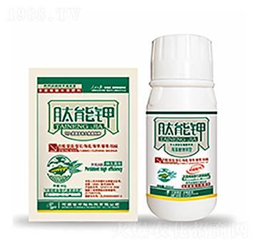 �����-�����Ƽ�