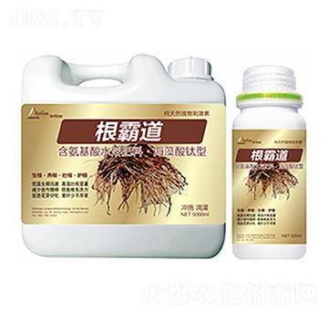 ���Ե�-�����Ƽ�