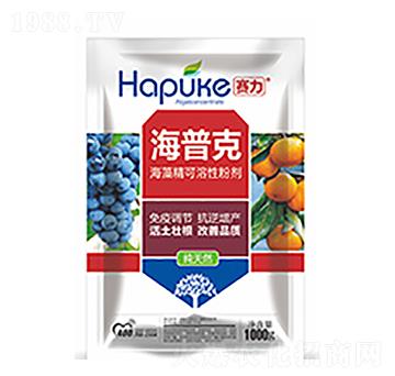 ِ�����տ�-�����Ƽ�