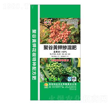 �������þ۹��S⛓����16-12-14-���_�r(n��ng)��