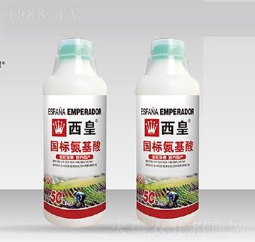 ����(bi��o)������-����-����