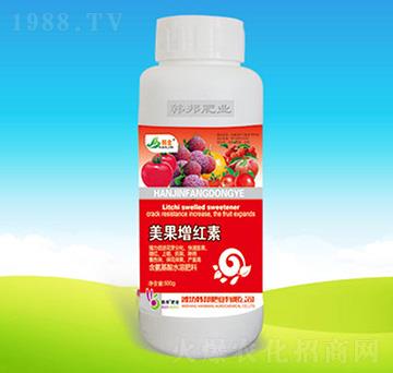 �������t��-�n��ʘI(y��)