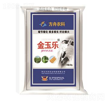 ����-�����r�I(y��)