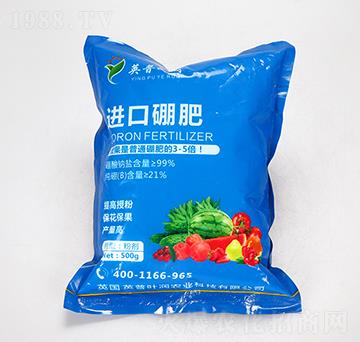 �M(j��n)�����-Ӣ���~��(r��n)