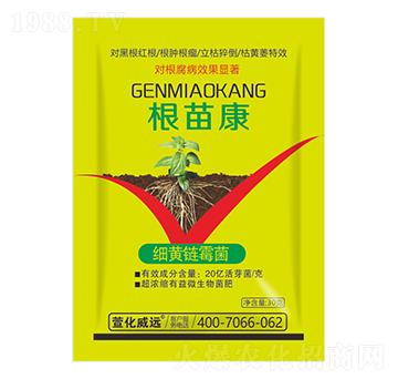 ���S�ù��-���翵-�滯���h