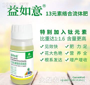 13Ԫ�ؽj(lu��)�����w��-������-��������