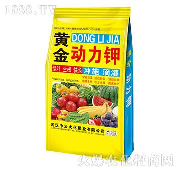 黃金動(dòng)力鉀-中云大化