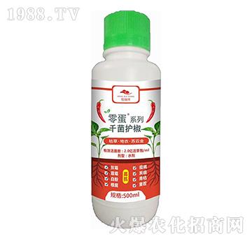 �ݲݡ����¡��K�ƽ�-ǧ���o(h��)��-������-�f(w��n)�ڿ�