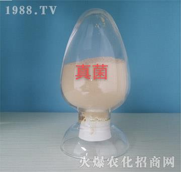 �����(zhu��n)��ԭ��-���o��(c��)�r(n��ng)�I(y��)