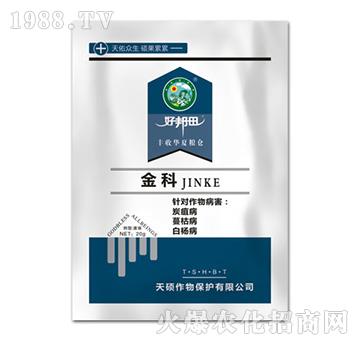 ���-��T����