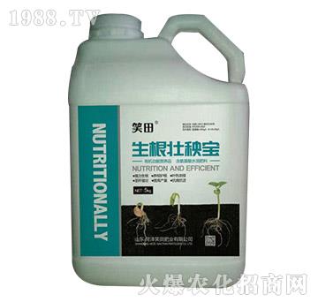 �������팚-Ц��