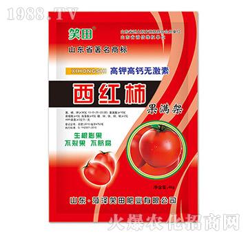 ���t�����M��-Ц��