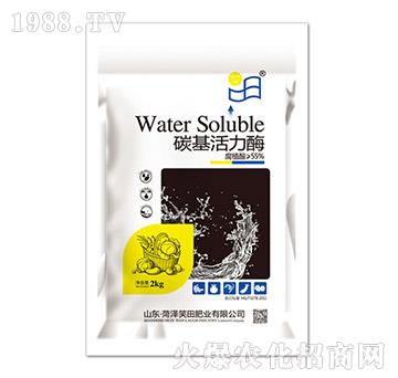 ̼������ø-Ц��