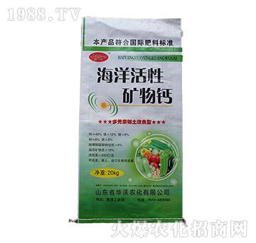 ������ԵV���}-�G�S-�A���r��