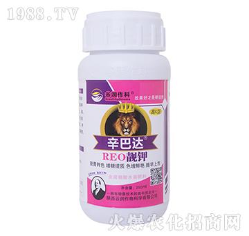 �n�-�����_(d��)-�ȝ�(r��n)����