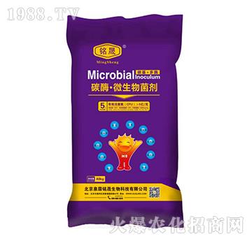 5�|���̼ø��΢�������-Ȫ�����