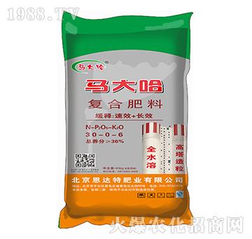 �ͺϷ���30-0-6-�R���