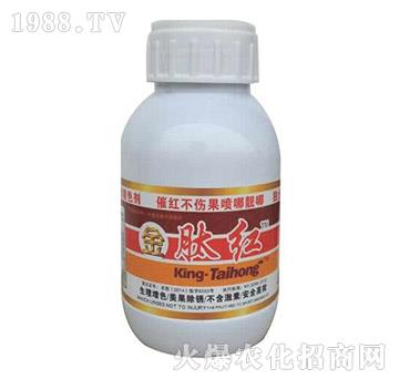 ���ļt-� �����