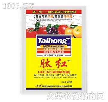 �ļt-� �����