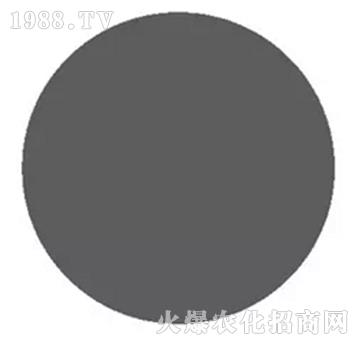 �S�����-��΢