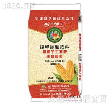 �\�����ጓ����26-8-6-��������