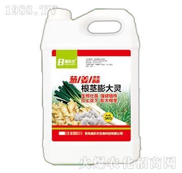 根莖膨大靈-瀚樂爾