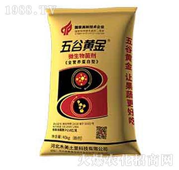 ΢�������-ȫ�I(y��ng)�B(y��ng)������-����S��