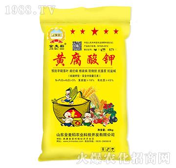 �S�����ЙC��-������