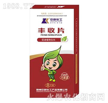 豐收片-中科化工