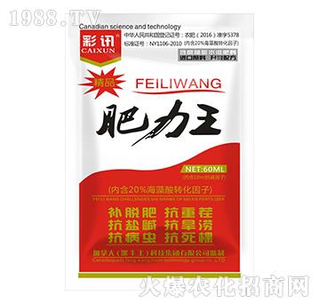 ����ֲ��ˮ�ܷ���-����