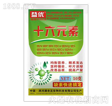 ���bʮ��Ԫ��-�惞(y��u)-��