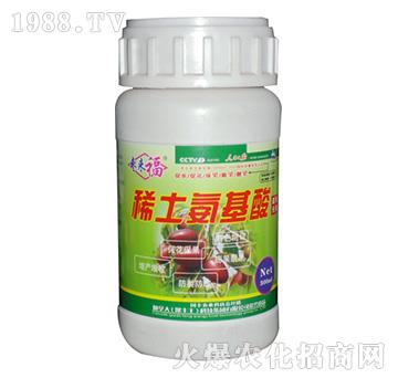 ϡ�����������-������