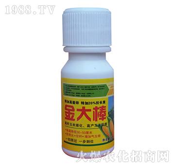 ����-���S��