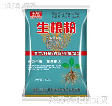 ������-����-���S��