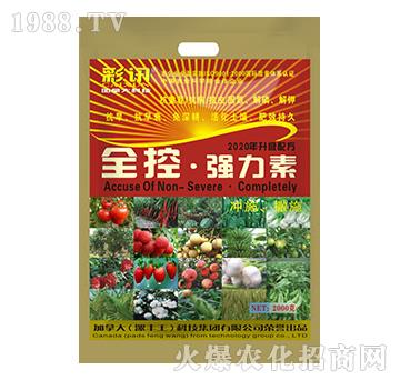 ���bȫ�ء���(qi��ng)����-���S��